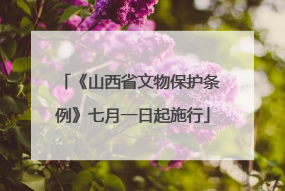 《山西省文物保护条例》七月一日起施行