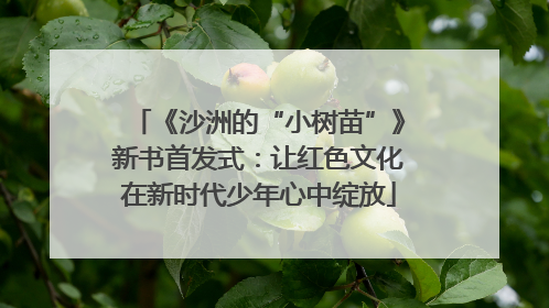 《沙洲的“小树苗”》新书首发式：让红色文化在新时代少年心中绽放