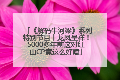 《解码牛河梁》系列特别节目丨龙凤呈祥！5000多年前这对红山CP竟这么好嗑