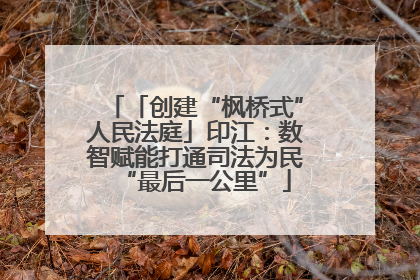 「创建“枫桥式”人民法庭」印江：数智赋能打通司法为民“最后一公里”