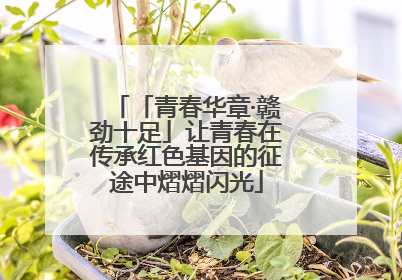 「青春华章·赣劲十足」让青春在传承红色基因的征途中熠熠闪光