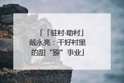 「驻村·助村」戴永亮：干好村里的甜“猕”事业