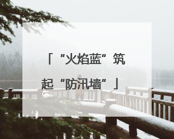 “火焰蓝”筑起“防汛墙”