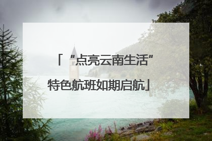 “点亮云南生活”特色航班如期启航