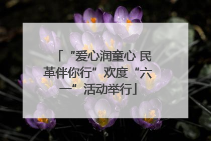 “爱心润童心 民革伴你行”欢度“六一”活动举行