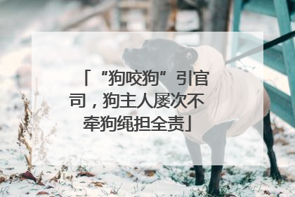“狗咬狗”引官司，狗主人屡次不牵狗绳担全责