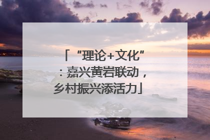 “理论+文化”：嘉兴黄岩联动，乡村振兴添活力