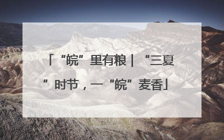 “皖”里有粮｜“三夏”时节，一“皖”麦香
