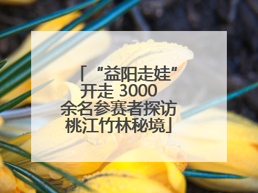 “益阳走娃”开走 3000余名参赛者探访桃江竹林秘境