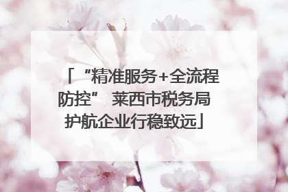 “精准服务+全流程防控” 莱西市税务局护航企业行稳致远