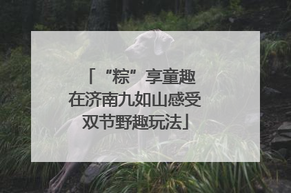 “粽”享童趣 在济南九如山感受双节野趣玩法