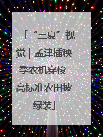 “三夏”视觉｜孟津插秧季农机穿梭 高标准农田披绿装