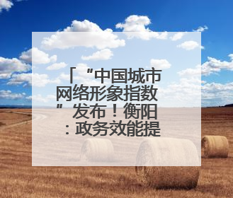 “中国城市网络形象指数”发布！衡阳：政务效能提升治理形象