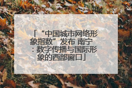 “中国城市网络形象指数”发布 南宁：数字传播与国际形象的西部窗口
