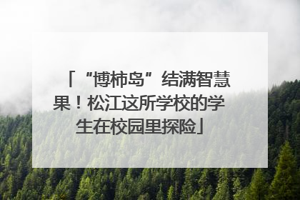 “博柿岛”结满智慧果！松江这所学校的学生在校园里探险