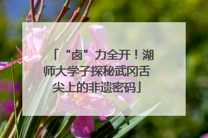 “卤”力全开！湖师大学子探秘武冈舌尖上的非遗密码