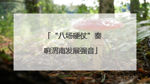 “八场硬仗”奏响渭南发展强音