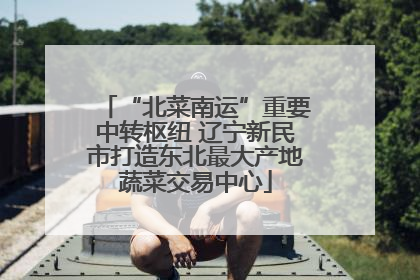 “北菜南运”重要中转枢纽 辽宁新民市打造东北最大产地蔬菜交易中心