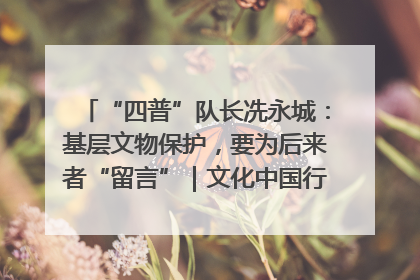 “四普”队长冼永城：基层文物保护，要为后来者“留言”｜文化中国行·我在广东找文物