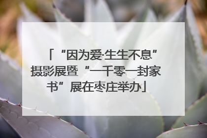 “因为爱·生生不息”摄影展暨“一千零一封家书”展在枣庄举办