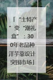 “土特产”变“潮礼盒”：300年老品种洋芋靠设计突围市场