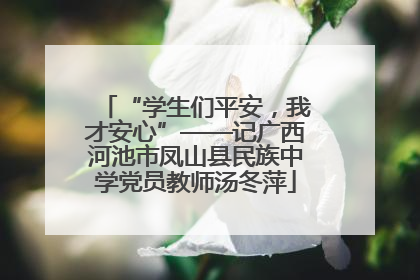 “学生们平安，我才安心”——记广西河池市凤山县民族中学党员教师汤冬萍