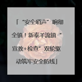 “安全哨声”响彻全镇！新泰羊流镇“宣教+检查”双轮驱动筑牢安全防线
