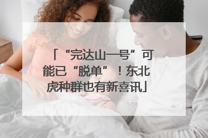 “完达山一号”可能已“脱单”！东北虎种群也有新喜讯