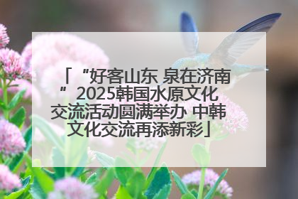 “好客山东 泉在济南”2025韩国水原文化交流活动圆满举办 中韩文化交流再添新彩