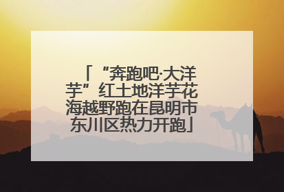 “奔跑吧·大洋芋”红土地洋芋花海越野跑在昆明市东川区热力开跑