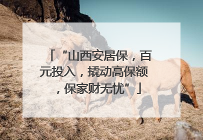 “山西安居保，百元投入，撬动高保额，保家财无忧”