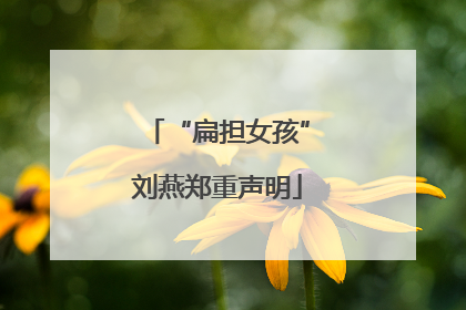 “扁担女孩”刘燕郑重声明