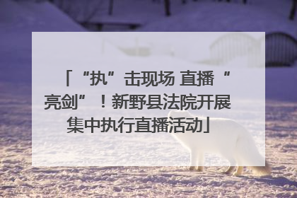 “执”击现场 直播“亮剑”！新野县法院开展集中执行直播活动