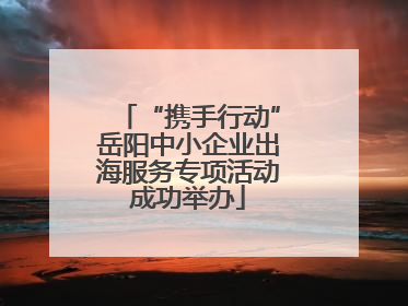 “携手行动”岳阳中小企业出海服务专项活动成功举办