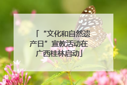 “文化和自然遗产日”宣教活动在广西桂林启动