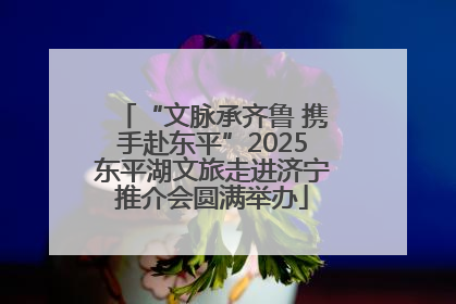“文脉承齐鲁 携手赴东平”2025东平湖文旅走进济宁推介会圆满举办