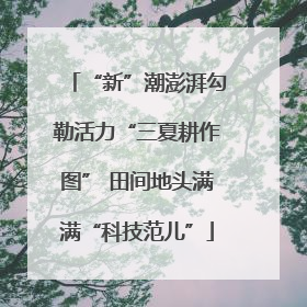 “新”潮澎湃勾勒活力“三夏耕作图” 田间地头满满“科技范儿”