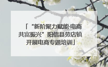 “新阶聚力赋能·电商共富振兴”阳信县劳店镇开展电商专题培训