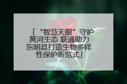 “智慧天眼”守护黄河生态 联通助力东明县打造生物多样性保护新范式