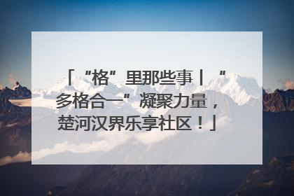 “格”里那些事丨“多格合一”凝聚力量，楚河汉界乐享社区！