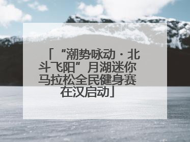 “潮势咏动・北斗飞阳”月湖迷你马拉松全民健身赛在汉启动