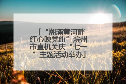 “潮涌黄河畔 红心映党旗”滨州市直机关庆“七一”主题活动举办