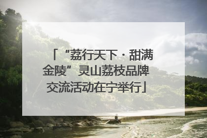 “荔行天下・甜满金陵”灵山荔枝品牌交流活动在宁举行