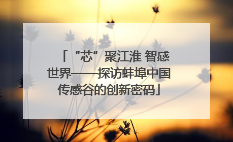 “芯”聚江淮 智感世界——探访蚌埠中国传感谷的创新密码