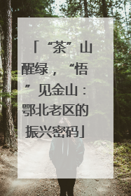 “茶”山醒绿，“悟”见金山：鄂北老区的振兴密码