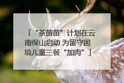 “茶苗苗”计划在云南保山启动 为留守困境儿童三餐“加肉”