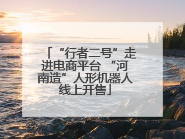“行者二号”走进电商平台 “河南造”人形机器人线上开售