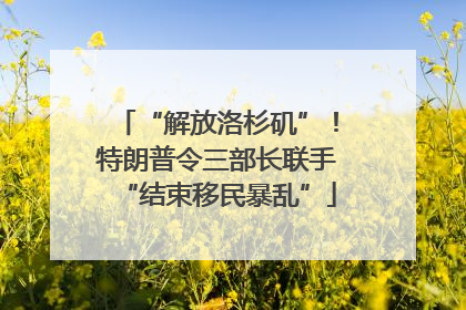“解放洛杉矶”！特朗普令三部长联手“结束移民暴乱”