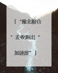 “豫北粮仓”麦收跑出“加速度”