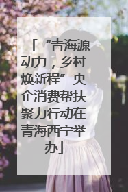 “青海源动力，乡村焕新程”央企消费帮扶聚力行动在青海西宁举办